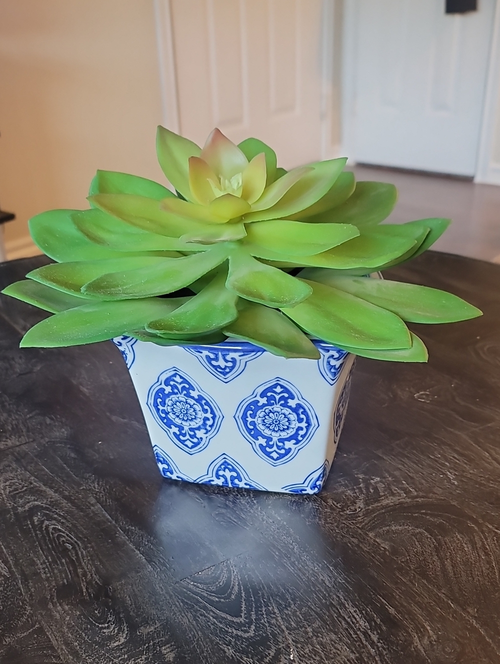 Artificial Succulent Plant in Blue and White Ceramic Pot - Unbranded